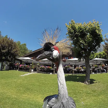 Le Castel Hotel Chamonix