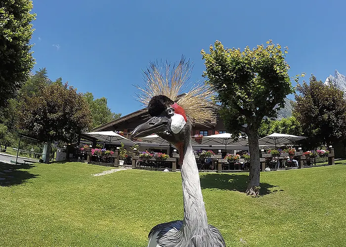 Le Castel Szálloda Chamonix
